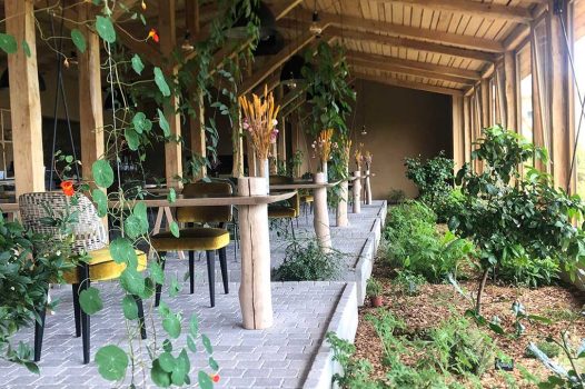 Création d’un pavage intérieur pour un restaurant situé en Ardèche, réalisé avec des matériaux naturels et durables, apportant charme et authenticité à l’espace. Le sol est composé de pavés posés avec précision pour assurer à la fois solidité, esthétique et facilité d’entretien. Au centre de l’aménagement, un jardin d’aromatiques intégré vient apporter une touche végétale et sensorielle, composé de plantes culinaires comme le thym, le romarin, la menthe ou le basilic. Ce jardin intérieur participe à l’ambiance chaleureuse et naturelle du lieu tout en offrant une fonctionnalité directe pour la cuisine du restaurant. Drôme Ardèche Rhone Alpes Valence Paysagiste Pisciniste