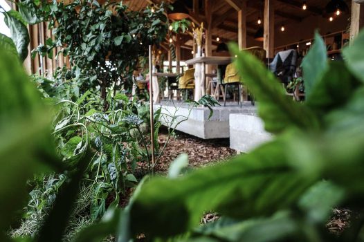 Création d’un pavage intérieur pour un restaurant situé en Ardèche, réalisé avec des matériaux naturels et durables, apportant charme et authenticité à l’espace. Le sol est composé de pavés posés avec précision pour assurer à la fois solidité, esthétique et facilité d’entretien. Au centre de l’aménagement, un jardin d’aromatiques intégré vient apporter une touche végétale et sensorielle, composé de plantes culinaires comme le thym, le romarin, la menthe ou le basilic. Ce jardin intérieur participe à l’ambiance chaleureuse et naturelle du lieu tout en offrant une fonctionnalité directe pour la cuisine du restaurant. Drôme Ardèche Rhone Alpes Valence Paysagiste Pisciniste