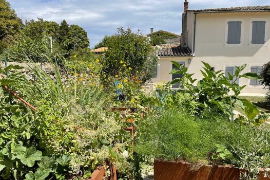 Piscine surélevée construite avec des panneaux modulaires Aquafeat, intégrée dans un petit jardin urbain à Saint-Péray, en Ardèche. Le bassin est habillé de murs en pierre d’Eyzahut, maçonnés avec un rendu pierre sèche, pour une finition naturelle et élégante parfaitement adaptée à l’environnement restreint. Ce type de construction allie compacité, robustesse et esthétisme, idéal pour les aménagements paysagers en zone urbaine. L'utilisation de matériaux durables comme les panneaux Aquafeat et la pierre locale valorise le patrimoine tout en garantissant un bassin fonctionnel et harmonieux dans un cadre réduit. Paysagiste Pisciniste Valence Drôme Ardèche Région rhone alpes
