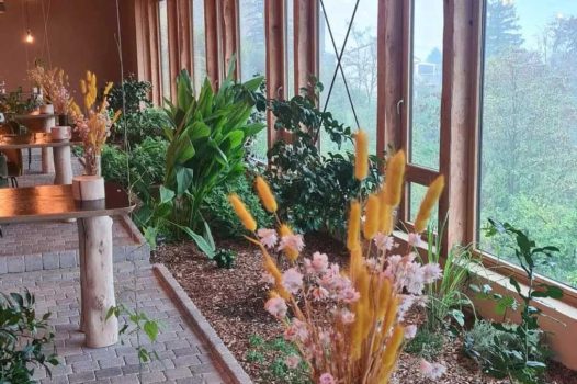 Création d’un pavage intérieur pour un restaurant situé en Ardèche, réalisé avec des matériaux naturels et durables, apportant charme et authenticité à l’espace. Le sol est composé de pavés posés avec précision pour assurer à la fois solidité, esthétique et facilité d’entretien. Au centre de l’aménagement, un jardin d’aromatiques intégré vient apporter une touche végétale et sensorielle, composé de plantes culinaires comme le thym, le romarin, la menthe ou le basilic. Ce jardin intérieur participe à l’ambiance chaleureuse et naturelle du lieu tout en offrant une fonctionnalité directe pour la cuisine du restaurant. Drôme Ardèche Rhone Alpes Valence Paysagiste Pisciniste