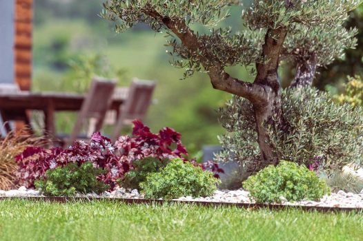 Création d’un espace bien-être extérieur avec l’installation d’un spa encastré à hauteur du sol, harmonieusement intégré dans un jardin paysager. Le spa est bordé par une terrasse en lames de bambou posée sur une structure métallique Terrassteel, assurant durabilité, résistance à l’humidité et finition soignée. Un mur en pierre naturelle vient structurer l’espace et renforcer l’ambiance authentique et chaleureuse. Des massifs paysagers complètent l’ensemble, avec notamment un olivier majestueux en élément central, apportant une touche méditerranéenne à la composition. Aménagement alliant confort, esthétisme et techniques modernes de construction extérieure. Ce projet illustre le savoir-faire d’un paysagiste et pisciniste en région Rhône-Alpes, intervenant à Valence, dans la Drôme et en Ardèche, pour des réalisations harmonieuses et techniques mêlant confort, tradition et modernité.