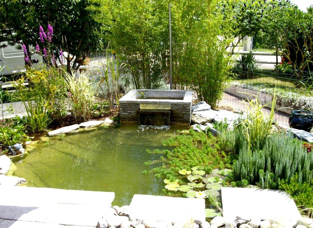 Journée spéciale bassins et jardins aquatiques - Procanis